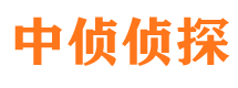 留坝侦探